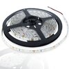 Лента светодиод. 60LED 4,8W IP65 6500К (5м) GENERAL, 5083