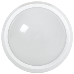Свет-к светодиодный ДПО5032Д-12W IP65 белый с ДД   ИЭК, 2112